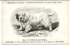 Chien Clumber-Spaniel CPA Early 1900, Unposted.