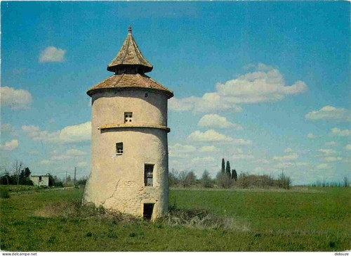 Carte postale pigeonniers - -,