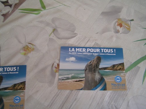 Carte publicitaire nausicaà - carte,