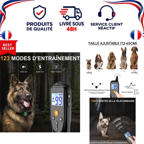 Collier dressage chien - dressage,