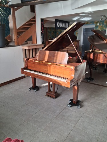 Piano queue steinway sons - à,