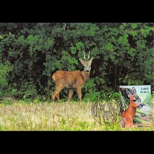 Carte Maximum - N° 3382 -