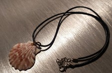 Collier cuir et pendentif coquille Saint Jacques  véritable
