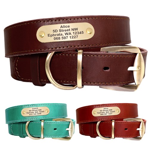 Collier chien cuir - collier,