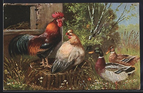Carte postale artiste alfred - d'artiste,