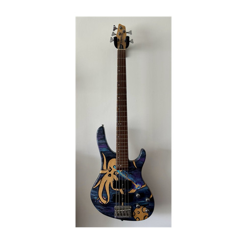Washburn 500 string - washburn, xb-500
