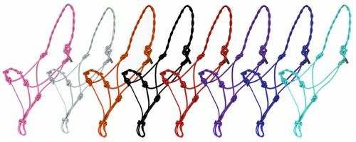 Natural horsemanship bitless - natural,