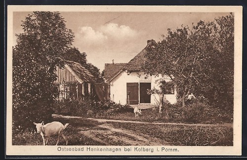 Henkenhagen chèvres au - henkenhagen,,