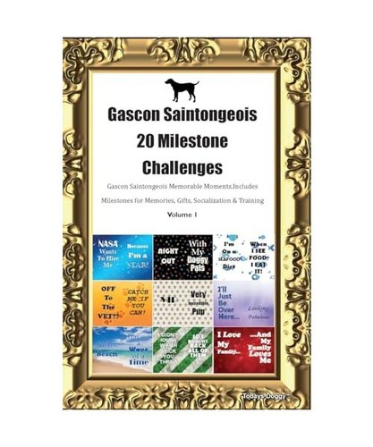 Gascon saintongeois - saintongeois, 20