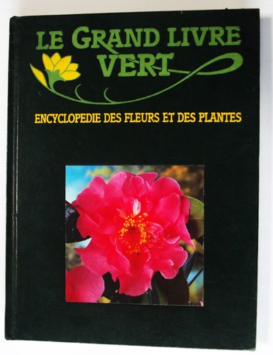 Grand livre vert - grand,