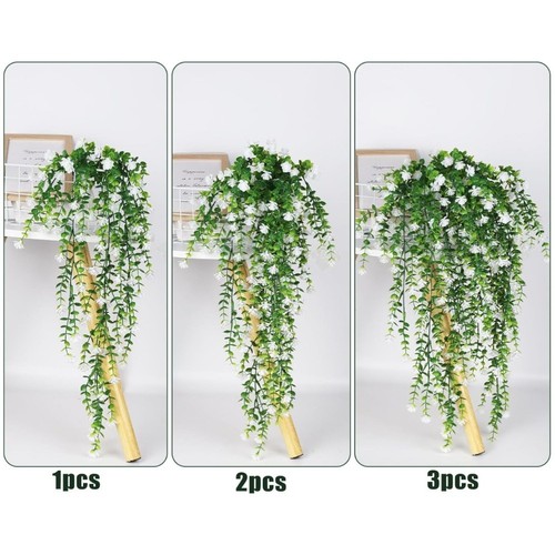 Fausse plante vigne - plante,