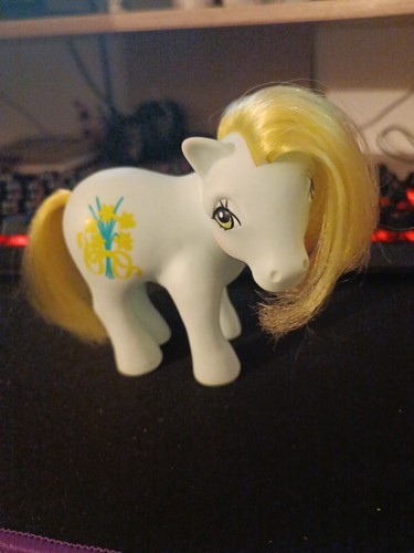 Little pony jonquilles - my,