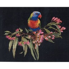 Kit point de croix  Loriquet