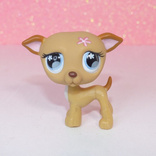 Authentic littlest lps - authentic,