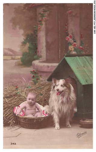 Car aelp17 0930 - car-aelp17-0930-dog,