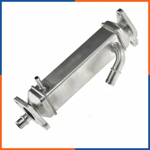 Egr vanne refroidisseur pour - egr,