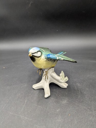 Superbe petit oiseau - , en