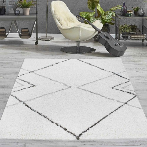 Shaggy poils longs tapis - shaggy,