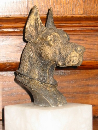 Buste dogue allemand - de, *
