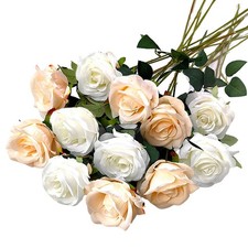 Rose Éternelle, Fleur