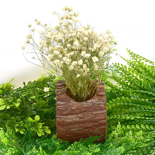 Planteuse souches arbres - planteuse, d'arbres