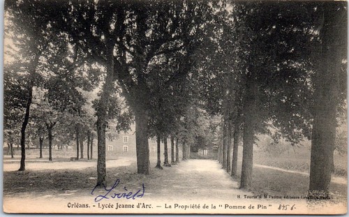 Orleans lycee joan of - 45,