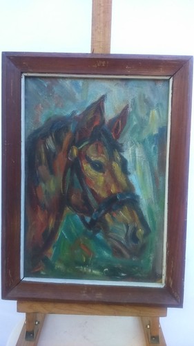 Paint horse peinture - paint, cheval