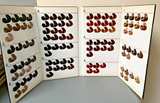 Nuancier De Coloration