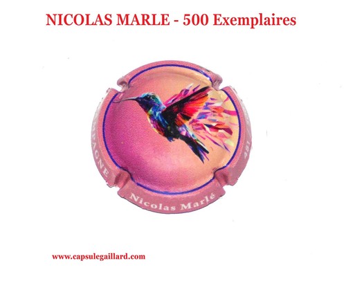 Capsules champagne nicolas - capsules,