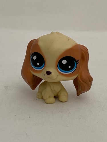 Petshop chien epagneul - chien,