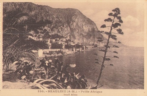 Beaulieu petite afrique - beaulieu,