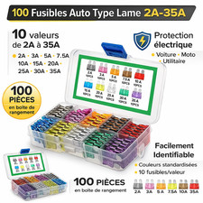Kit 100 Fusibles Auto Type