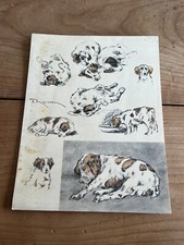 gravure ancienne chien N75 épagneuls bretons