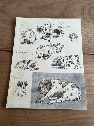 Gravure ancienne chien - gravure, n75