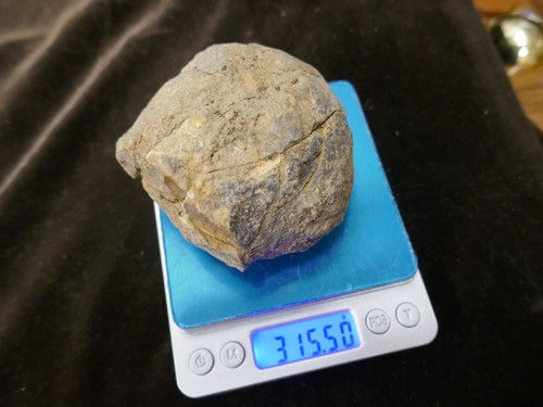 Géode avec trilobite - avec,