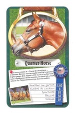 Carte Top Trumps - Chevaux ou