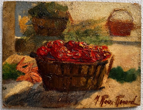 Marius roux renard - marius, roux-renard