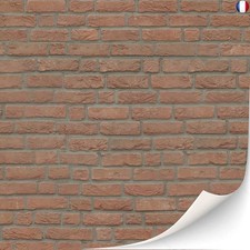 Lot de 3 feuilles de