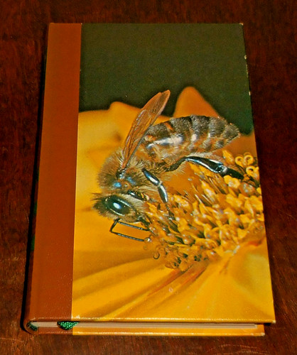Maurice maeterlinck vie des - maeterlinck,