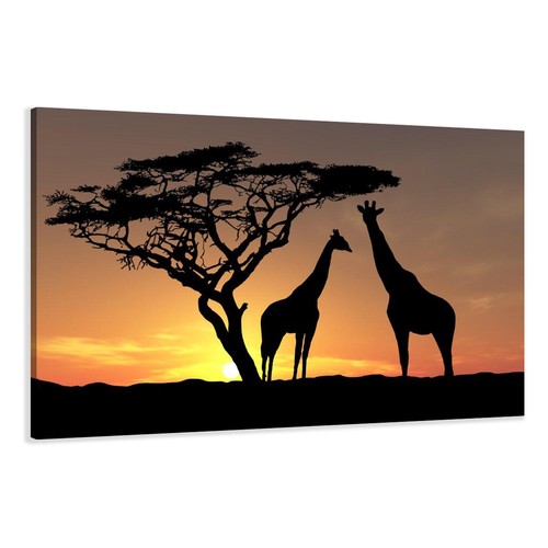 Images sur toile 60 - 80, cm