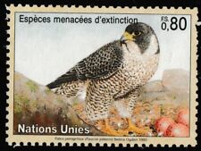 United Nations Endangered Species Faucon Pelerin FS 0.80 single MNH 1993