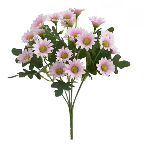 Bouquet fleurs marguerites - fleurs,
