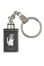 Biewer Terrier, Biewer