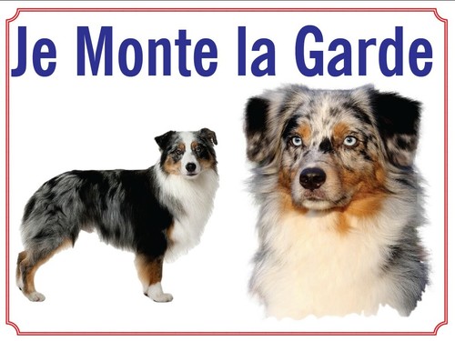 Attention chien je monte - au,