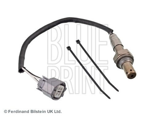 Blue print adj137030 sonde - print,