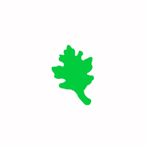 Perforatrice feuille chene - feuille, de