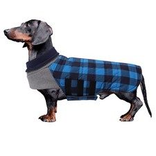 Manteau Chien Hiver pour