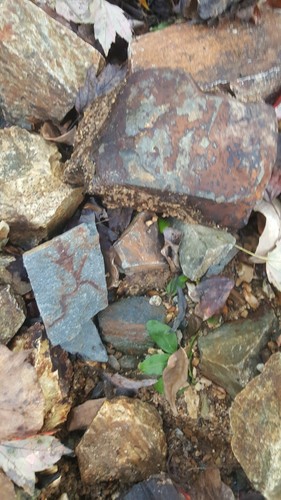 Natural rock assortment for - ,