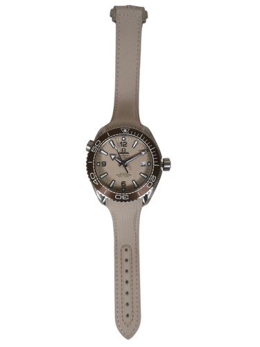 Omega seamaster planet ocean - planet,