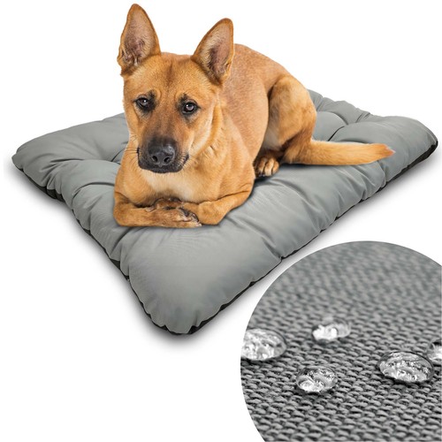 Lit pour chien - , tapis